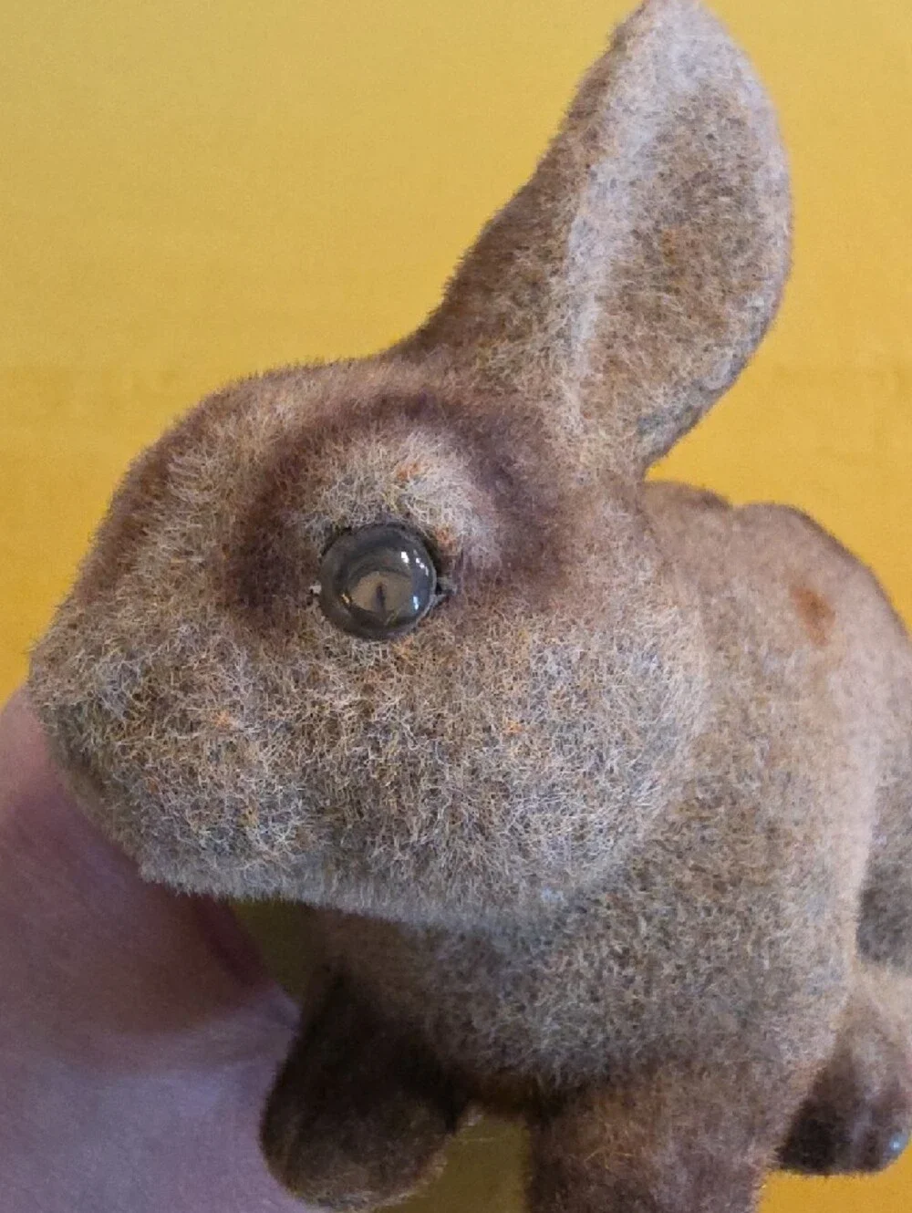 Chadwick-Miller vintage fuzzy